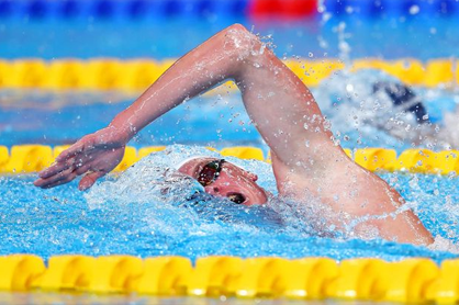 championat du monde de natation