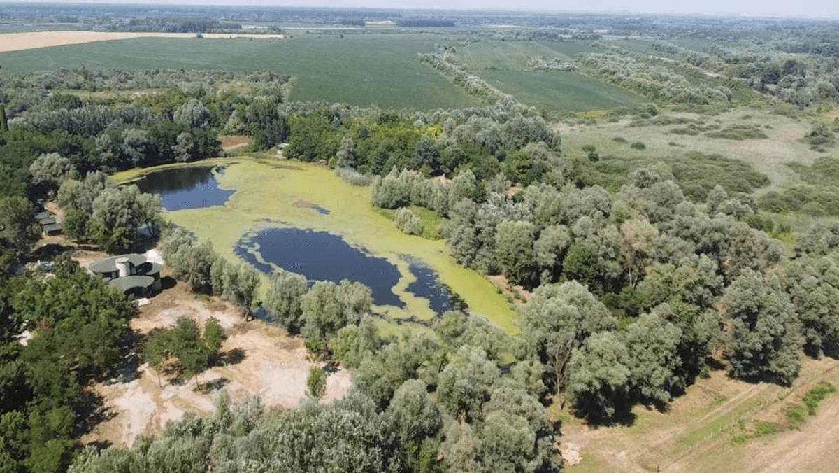 fête nationale du Liberland
