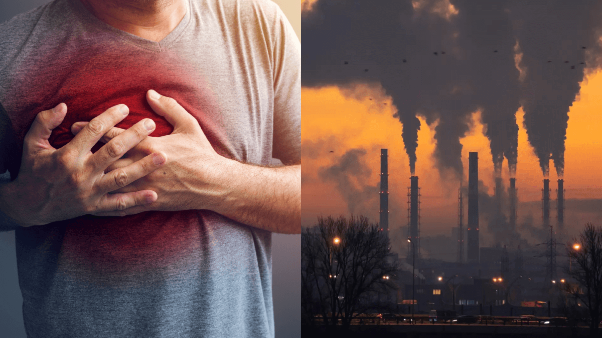 maladies environnementales