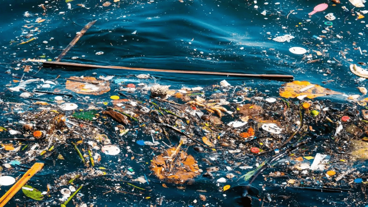 Journée mondiale de l'eau